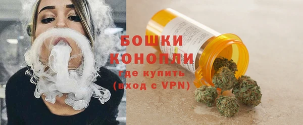 индика Белокуриха