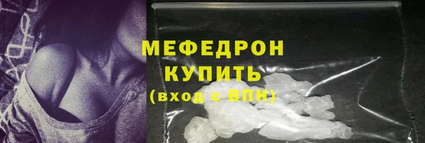 индика Белокуриха