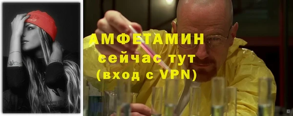 индика Белокуриха