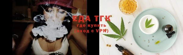 индика Белокуриха