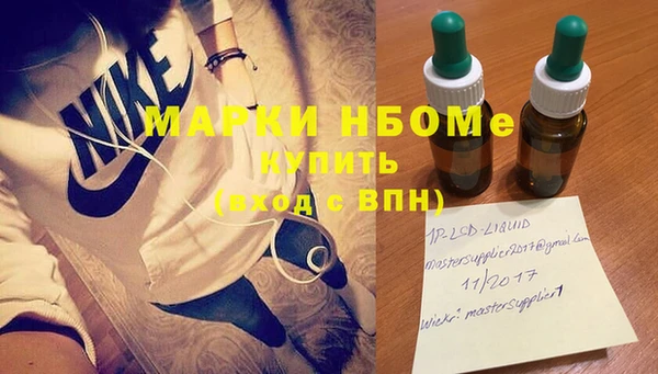 индика Белокуриха