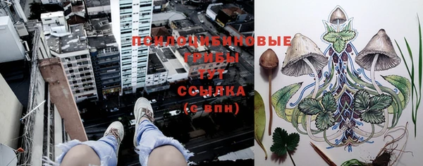 экстази Беломорск
