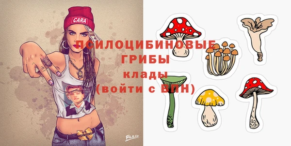 индика Белокуриха
