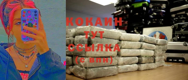 индика Белокуриха