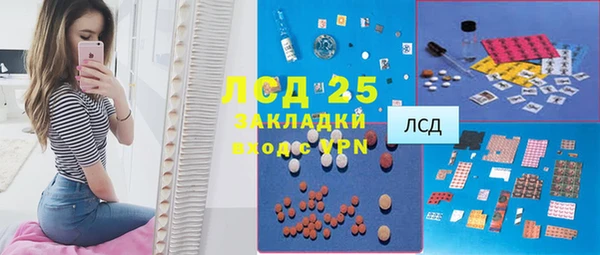 индика Белокуриха
