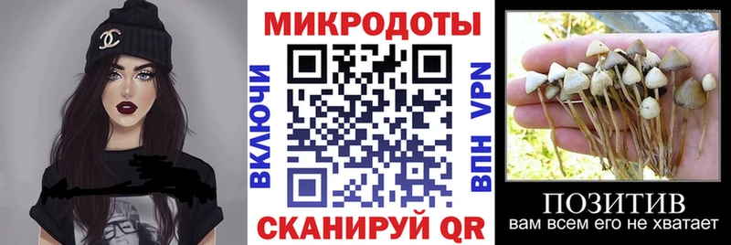 KRAKEN как войти  Острогожск  Галлюциногенные грибы Psilocybine cubensis 