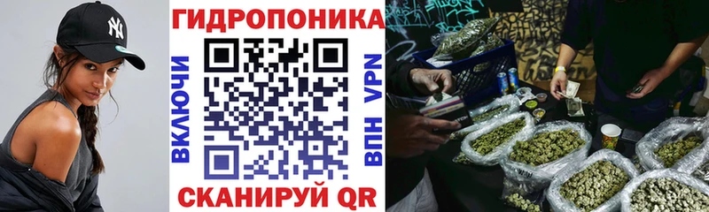 гидра   Острогожск  Шишки марихуана сатива  где можно купить наркотик 